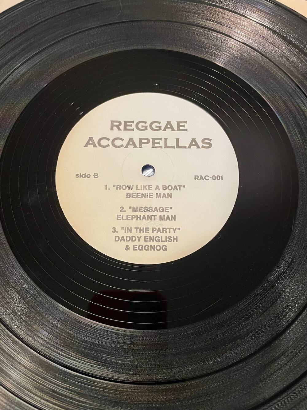 Reggae Acapellas 12" vinyl record beenie elephant man y2k